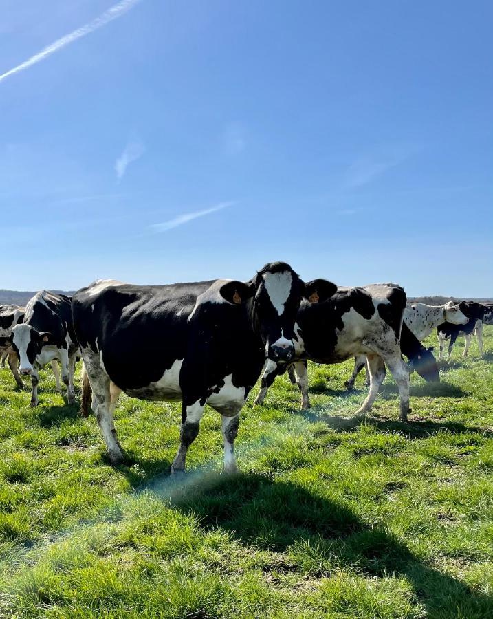 Chambre A La Ferme Precy-le-Sec Zewnętrze zdjęcie